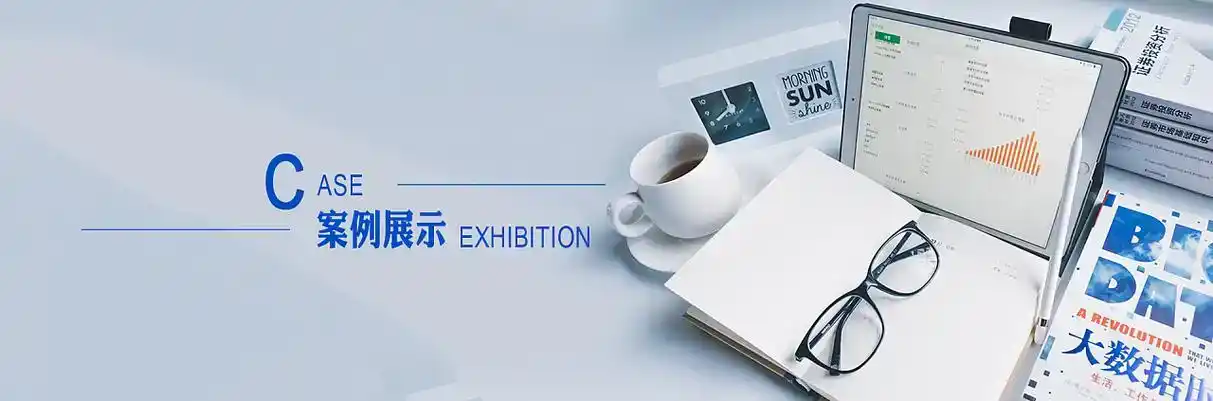 金川区软件开发